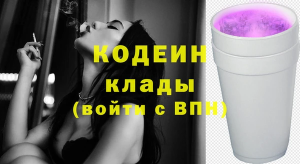 ГАЛЛЮЦИНОГЕННЫЕ ГРИБЫ Богданович