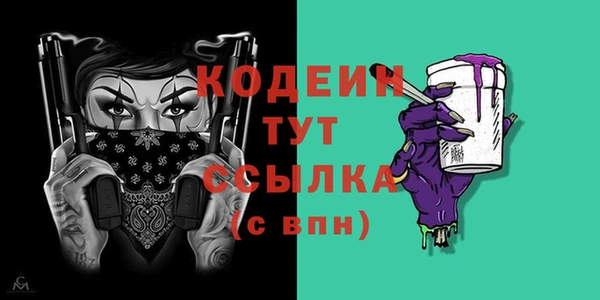 ГАЛЛЮЦИНОГЕННЫЕ ГРИБЫ Богданович