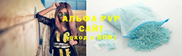спиды Богородицк