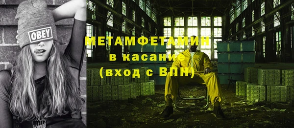 ГАЛЛЮЦИНОГЕННЫЕ ГРИБЫ Богданович