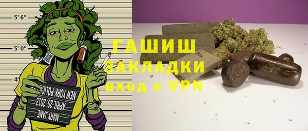 ГАЛЛЮЦИНОГЕННЫЕ ГРИБЫ Богданович